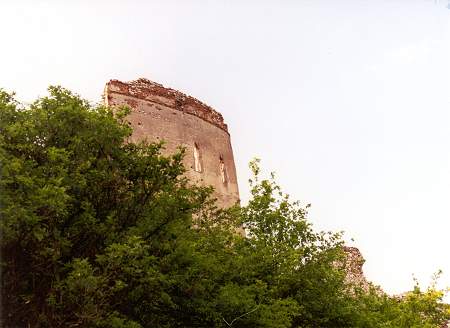 The Tower in Spring